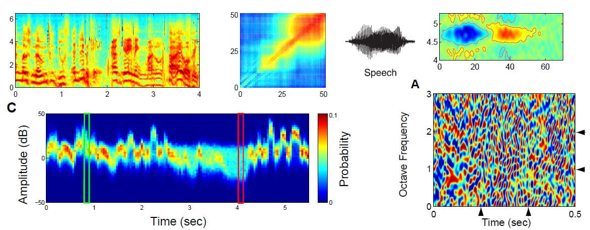 Research Physiological Acoustics Lab